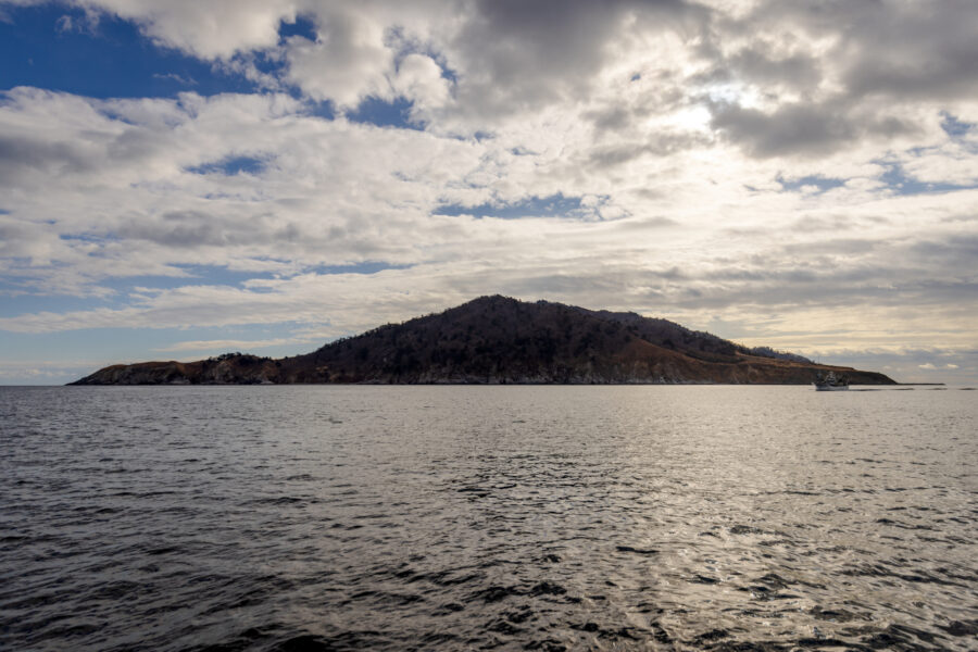 L’île de Kinkasan