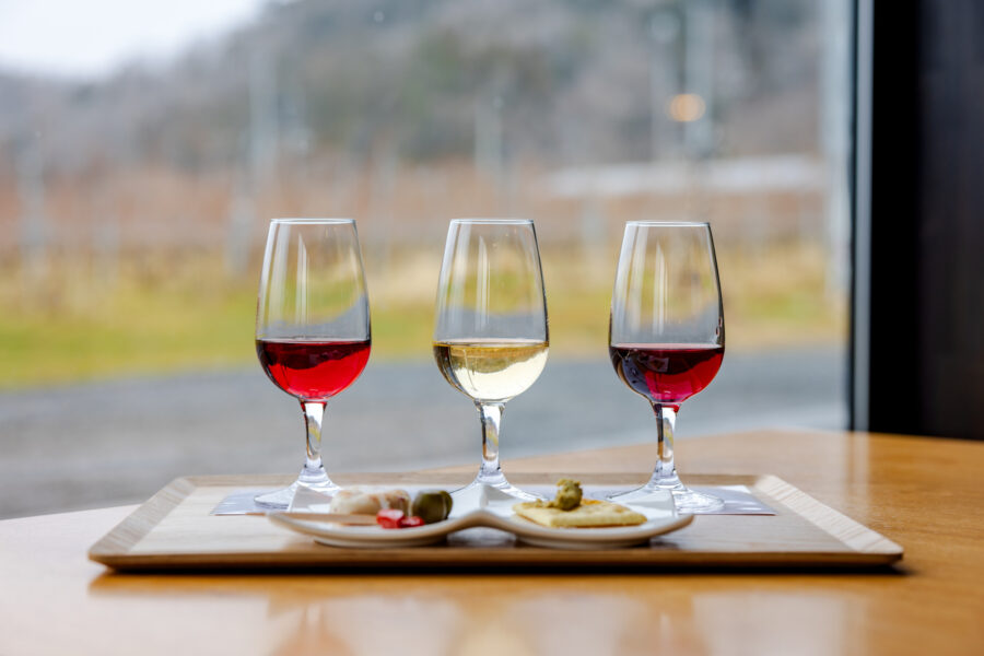 Le vignoble d’Akiu