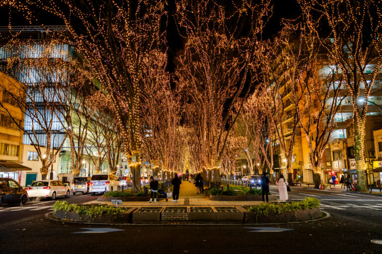 Le Sendai Pageant of Starlight