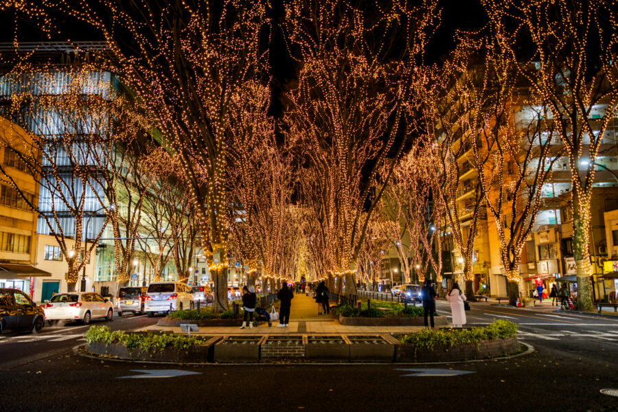 Le Sendai Pageant of Starlight