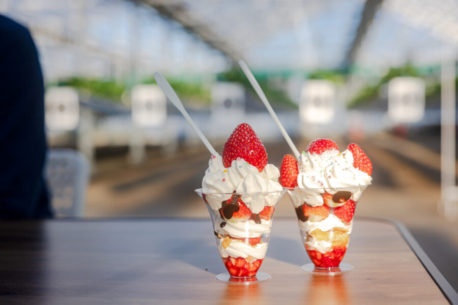 Au paradis des fraises