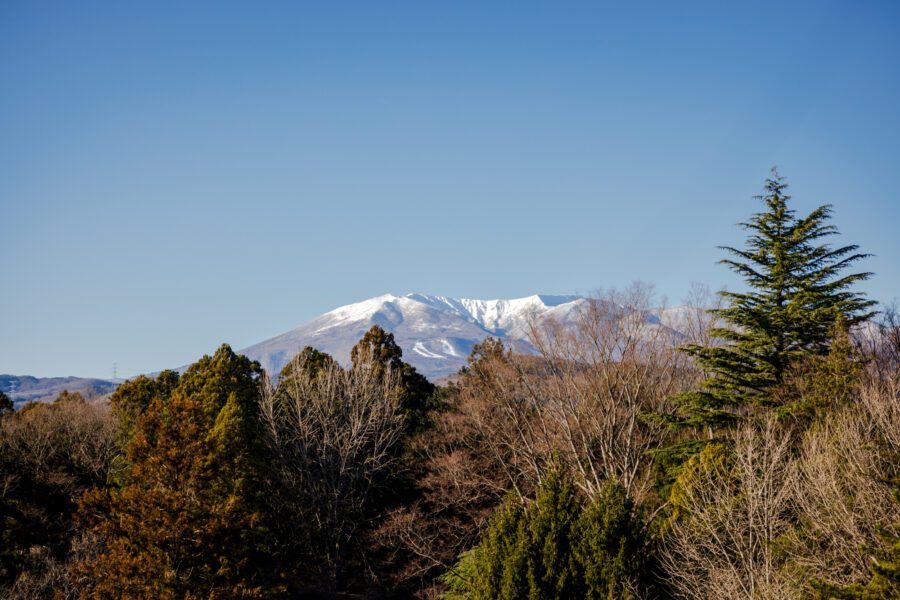 Château de Shiroishi